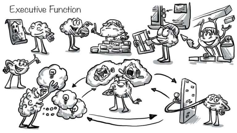 Executive Function: Your Brain’s Control Center - Sprouts - Learning ...