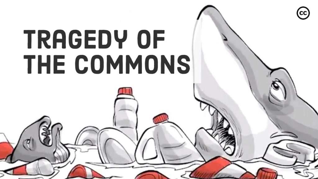 Tragedy of the commons cover image