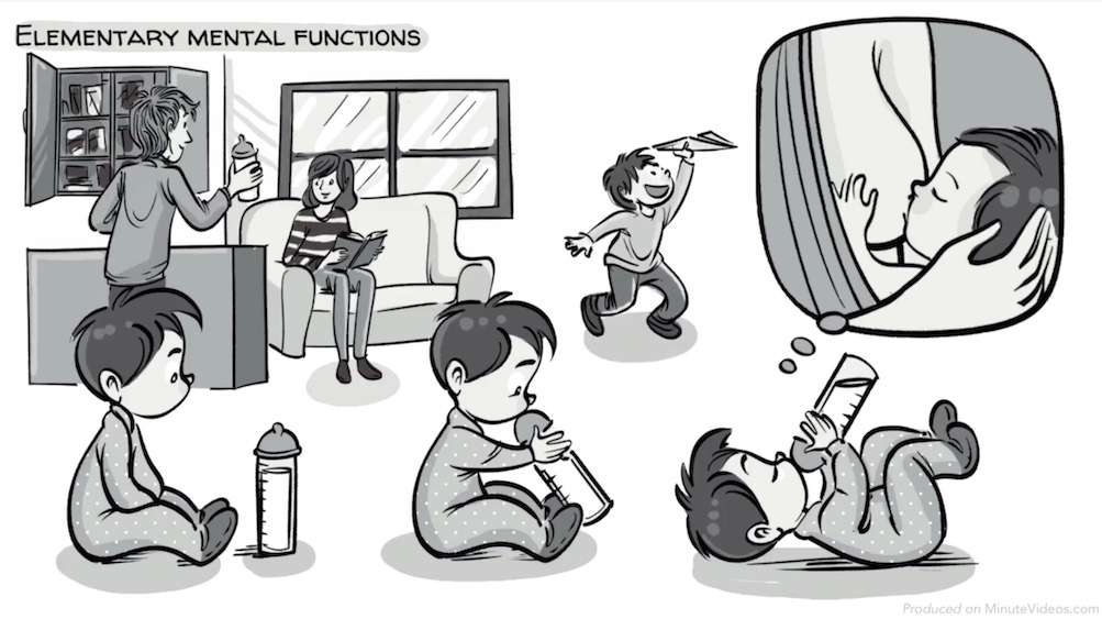 Elementary mental functions
