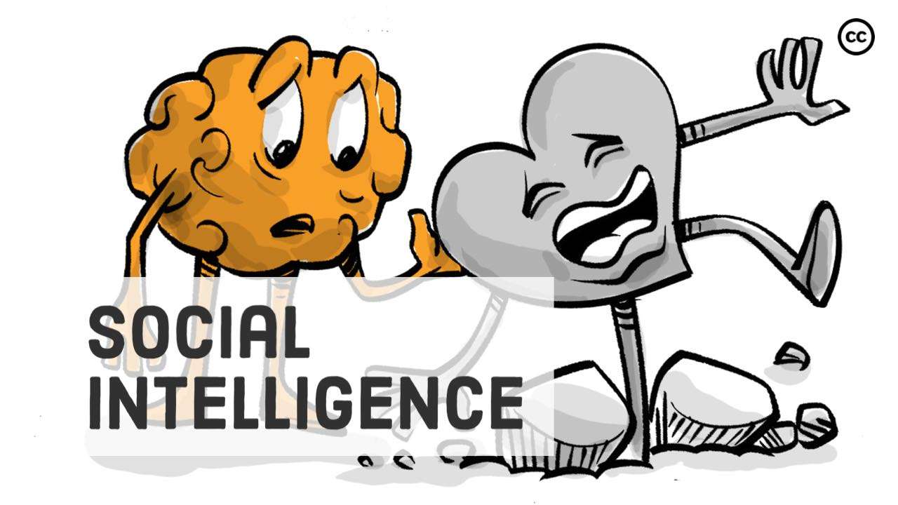 Social Intelligence Cover
