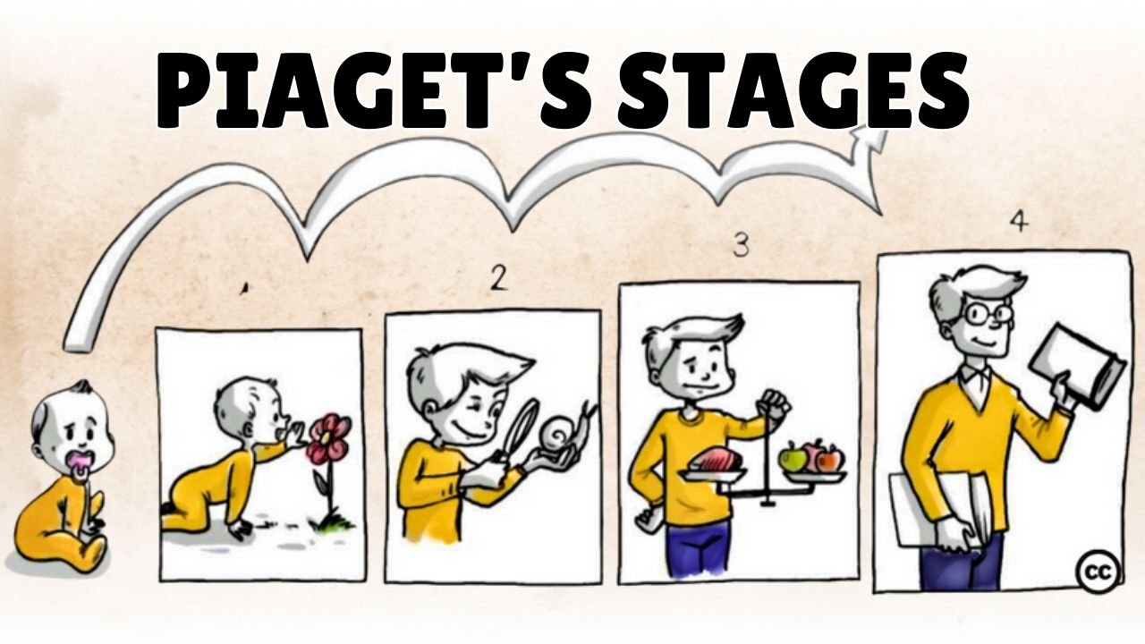 Jean Piaget 4 Stages Of Cognitive Development Chart Piaget s Stages 4
