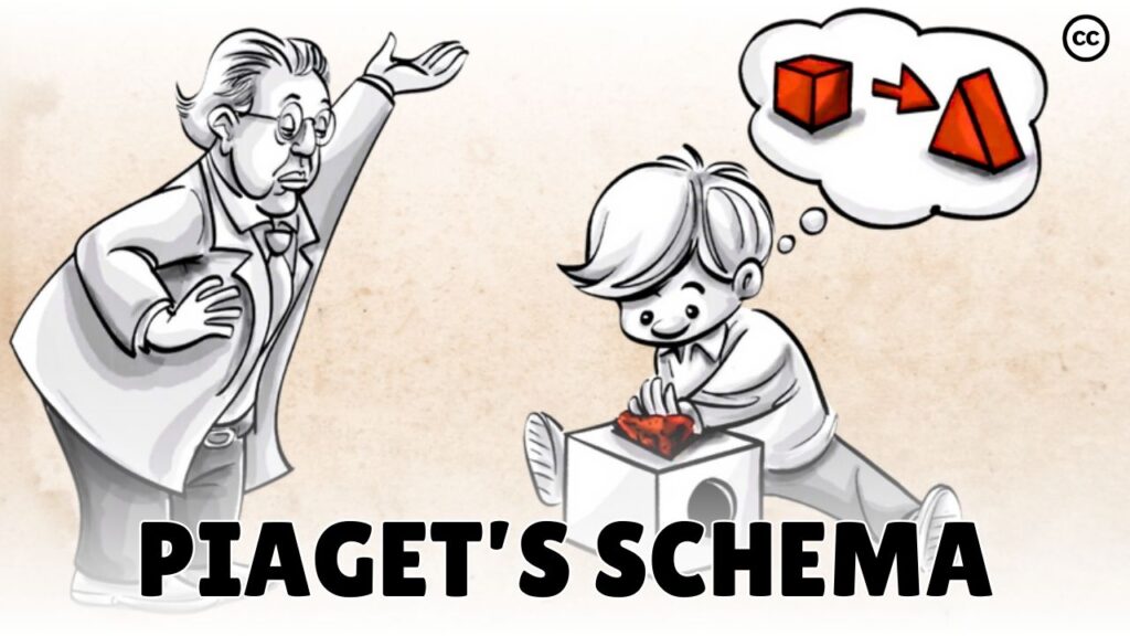 Piaget Schema
